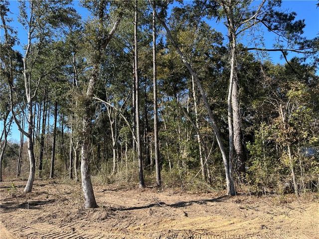 0 Creel Road, Theodore, AL 36582