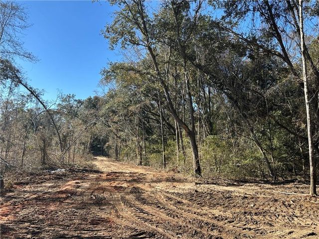 0 Creel Road, Theodore, AL 36582