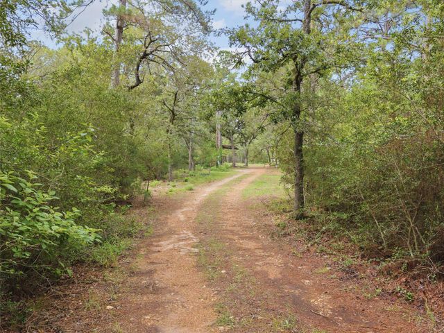 571 Pine Canyon DR, Smithville, TX 78957