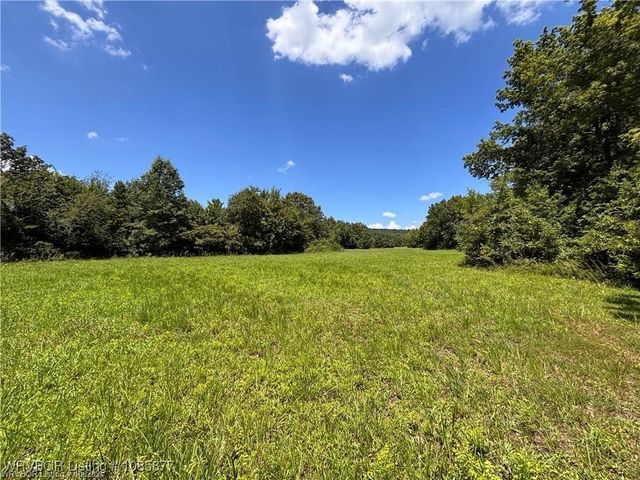 TBD W Highway 252, Hackett, AR 72937