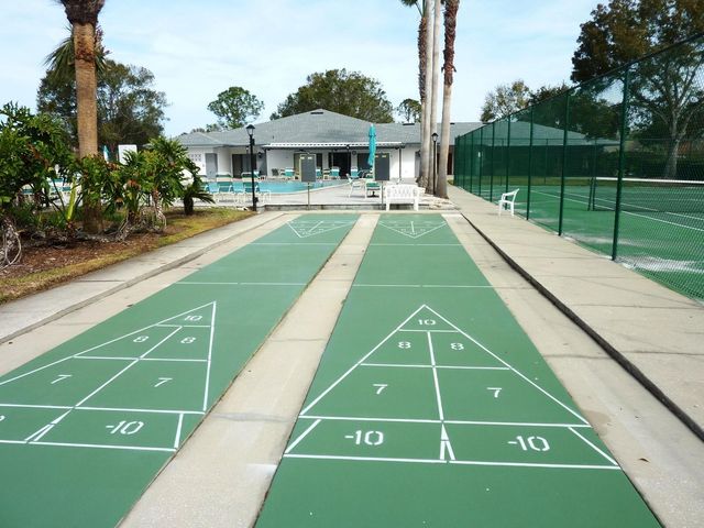 11524 PUMPKIN SEED COURT, Orlando, FL 32821