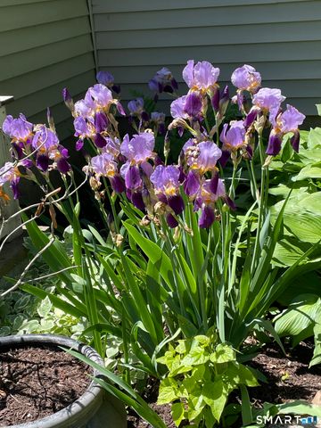 1347 Hall Boulevard, Bloomfield, CT 06002