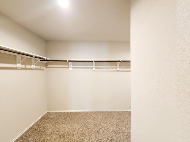 40553 Winter Grass Bend, Magnolia, TX 77354