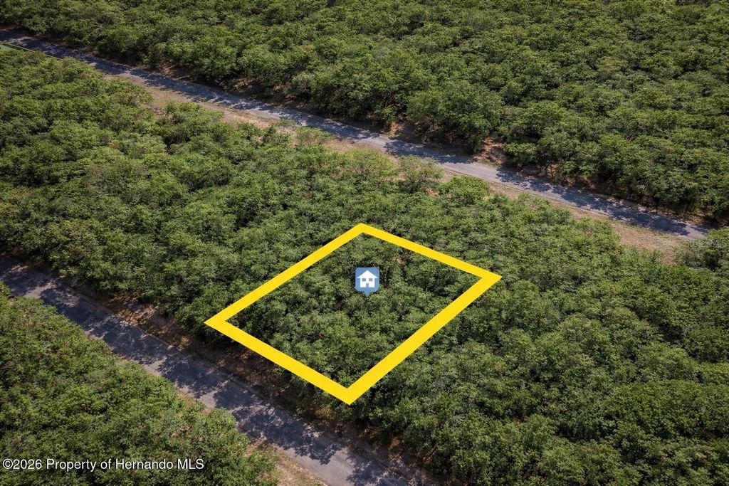 1628 E Badger Drive, Citrus Springs, FL 34434