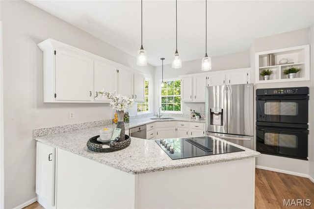 16112 Ridgewoods Manor Circle, Ellisville, MO 63038