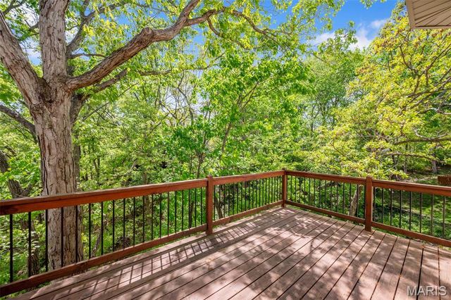 16112 Ridgewoods Manor Circle, Ellisville, MO 63038
