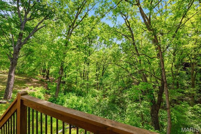 16112 Ridgewoods Manor Circle, Ellisville, MO 63038