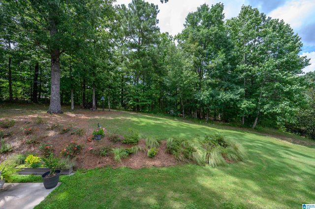 1204 PERTHSHIRE COURT, Hoover, AL 35242