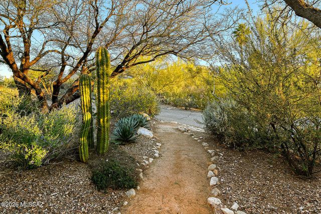 4577 N Placita De Las Chacras, Tucson, AZ 85718