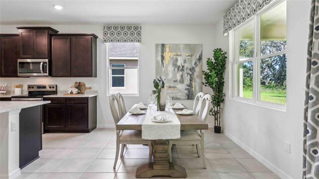 8209 IVES PLACE, Wildwood, FL 34785