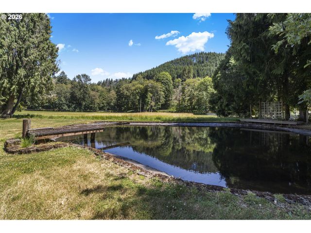 41743 DEERHORN Rd, Springfield, OR 97478