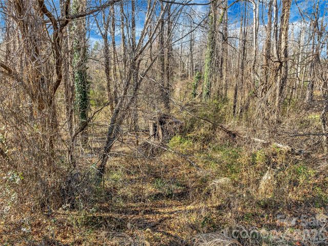 283 Ozone Drive, Saluda, NC 28773