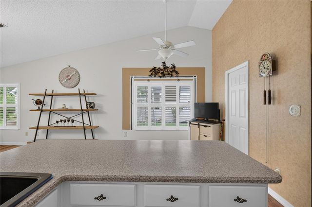 25102 MERIWEATHER ROAD, Leesburg, FL 34748
