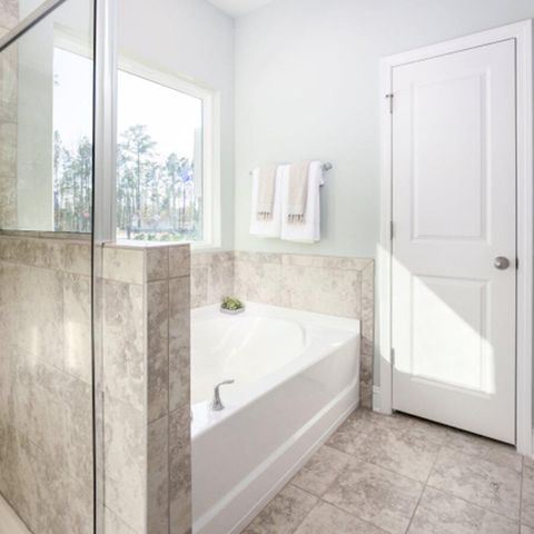 1042 Lettered Olive Lane, Summerville, SC 29485