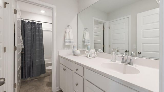 1042 Lettered Olive Lane, Summerville, SC 29485
