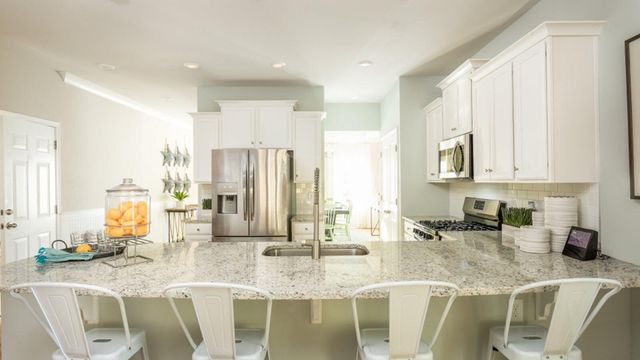 1042 Lettered Olive Lane, Summerville, SC 29485