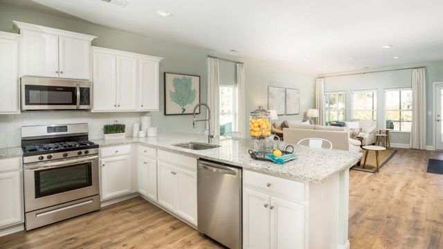 1042 Lettered Olive Lane, Summerville, SC 29485