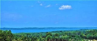 Parcel C Cemetery Road, Alden, MI 49612