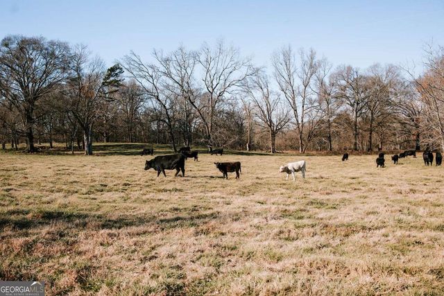 119A Ralph Bridges Road, Lexington, GA 30648