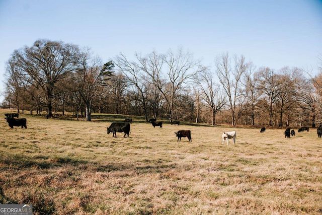 119A Ralph Bridges Road, Lexington, GA 30648
