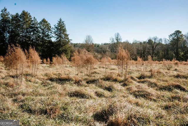 119A Ralph Bridges Road, Lexington, GA 30648