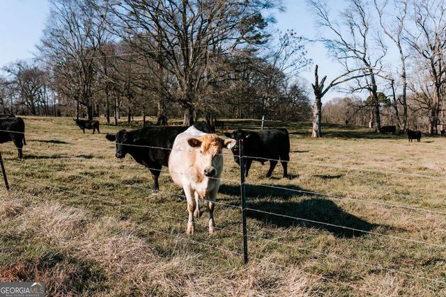 119A Ralph Bridges Road, Lexington, GA 30648
