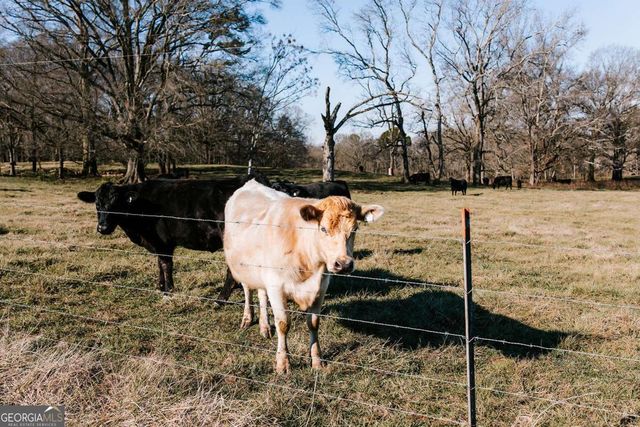 119A Ralph Bridges Road, Lexington, GA 30648