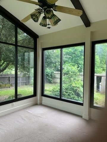 310 W Stewart Street, Willis, TX 77378
