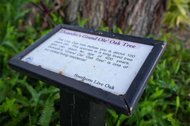 2214 DAVIES AVENUE, Dunedin, FL 34698