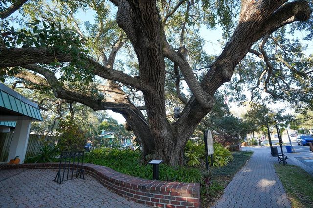 2214 DAVIES AVENUE, Dunedin, FL 34698