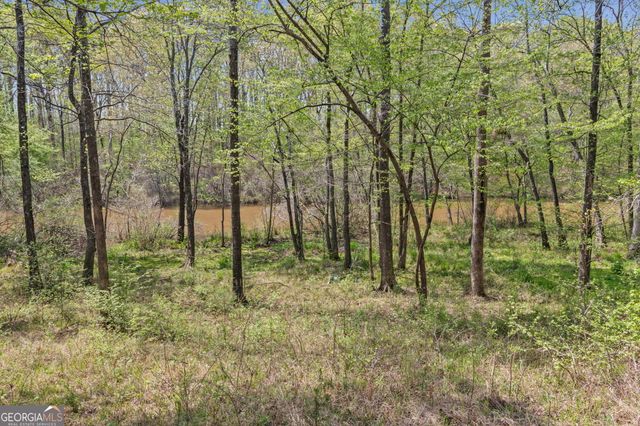 198 Antony Drive, Jackson, GA 30233