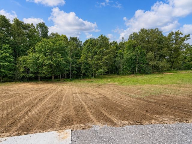 71 Dukes Park Rd, Summertown, TN 38483