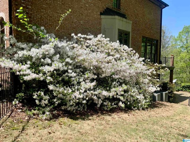 40 CHERT ROAD, Oneonta, AL 35121