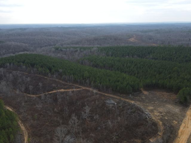 0 North Fork, Stewart, TN 37175