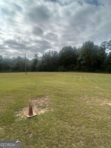 114 Mccarthy Road, Buena Vista, GA 31803