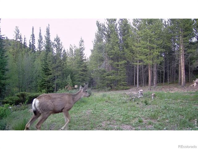 236 Mescalero Drive, Red Feather Lakes, CO 80545