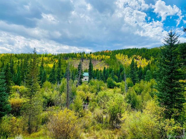 236 Mescalero Drive, Red Feather Lakes, CO 80545