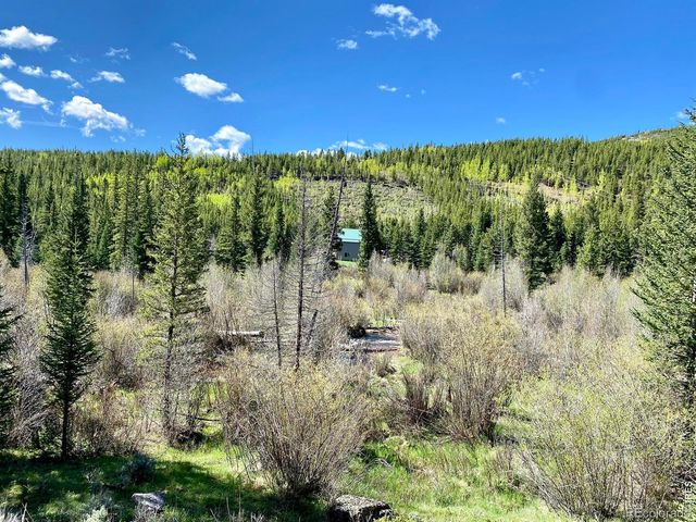 236 Mescalero Drive, Red Feather Lakes, CO 80545