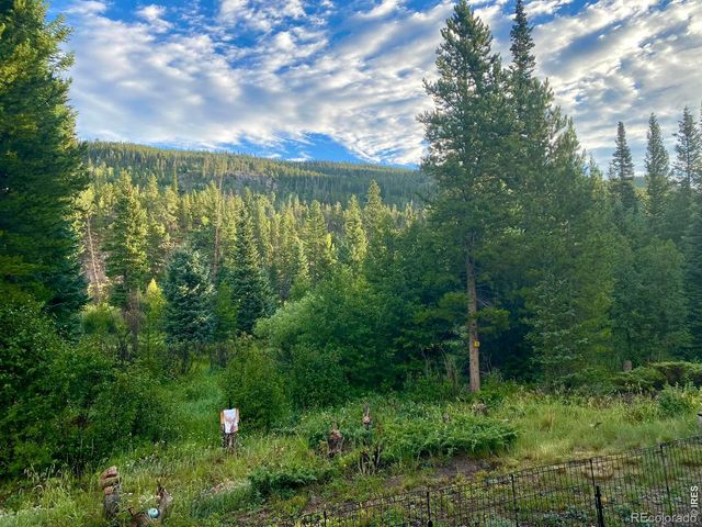236 Mescalero Drive, Red Feather Lakes, CO 80545
