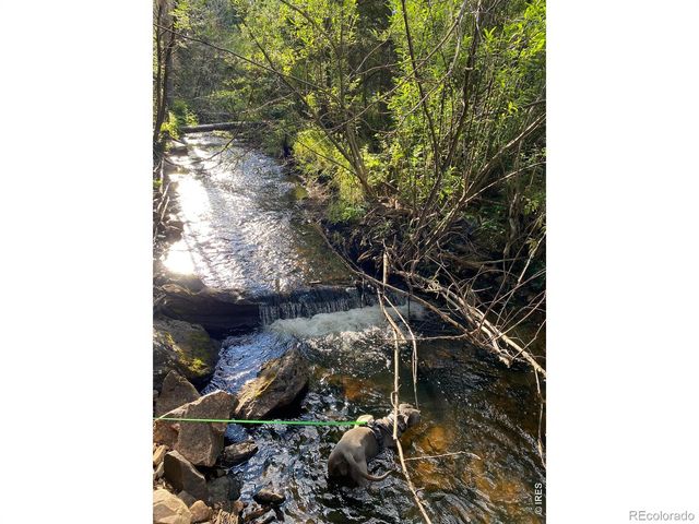 236 Mescalero Drive, Red Feather Lakes, CO 80545