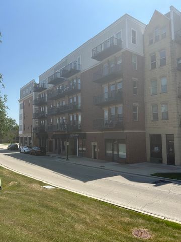 332 River Street 4405, Lemont, IL 60439