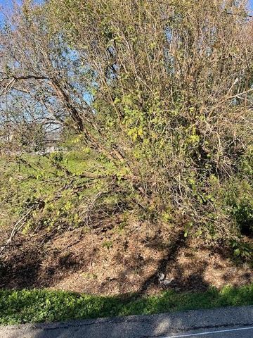 000 Cartersville Street, Houston, TX 77029