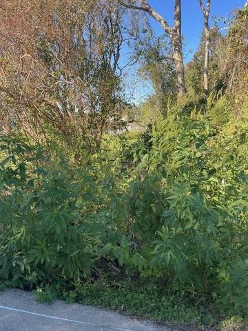 000 Cartersville Street, Houston, TX 77029