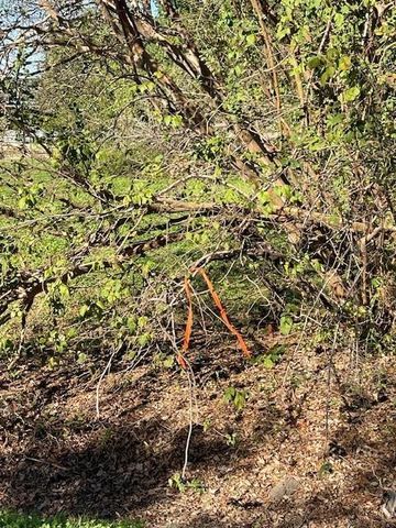 000 Cartersville Street, Houston, TX 77029