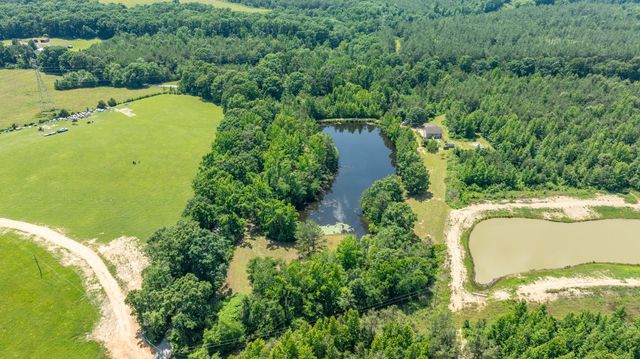 424 Charles McClearen Rd, Hohenwald, TN 38462