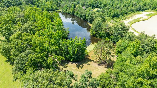 424 Charles McClearen Rd, Hohenwald, TN 38462