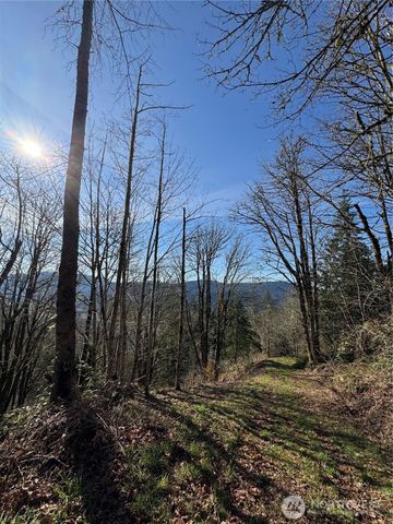 15215 320th Street NE, Arlington, WA 98223