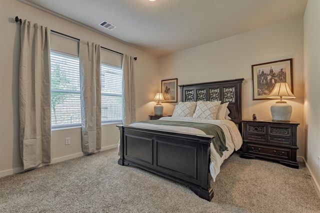 120 Porter Bend Court, Montgomery, TX 77316