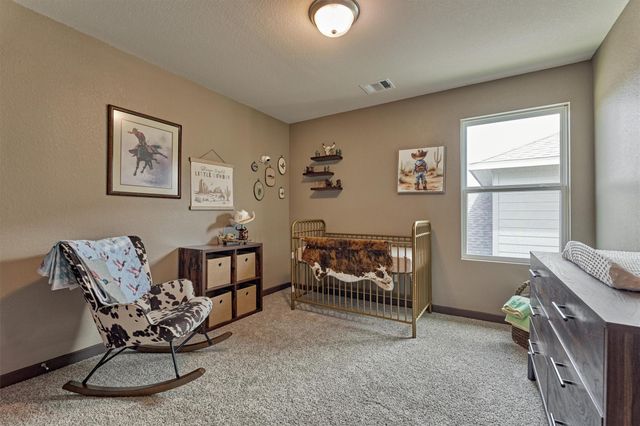 120 Porter Bend Court, Montgomery, TX 77316