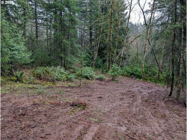 0 Ne BERRY Rd, Battle Ground, WA 98604